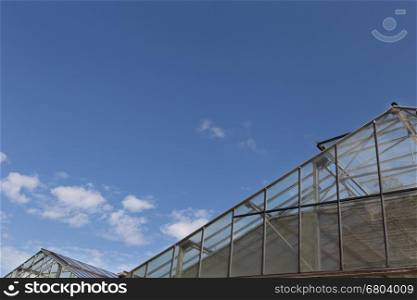roof of glasshouse or greenhouse with clear blue sky in daytime - horticulture