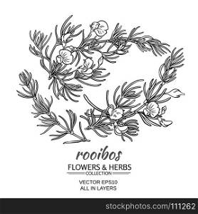 rooibos vector set. rooibos branch vector set on white background