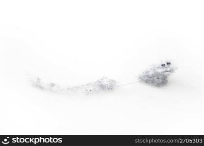 Room dust on a white background