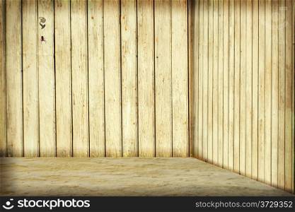 Room with wooden wall, nail and spider