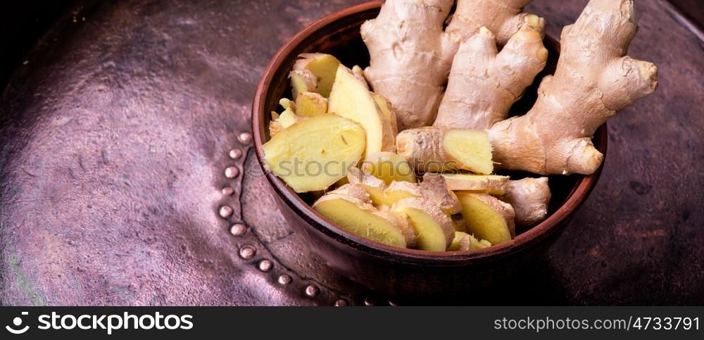 Root of medicinal ginger. Fresh whole root of medicinal ginger. Healthy nutrition