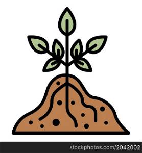 Root plant icon. Outline root plant vector icon color flat isolated. Root plant icon color outline vector