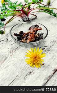 roots of medicinal plants dandelion on light wooden background. roots of dandelion flower
