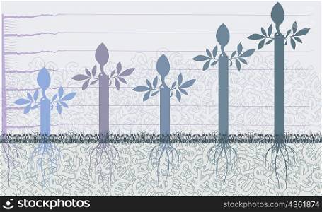 Roots of plants