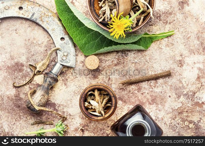 Roots of the healing plant elecampane inula. Elecampane or inula