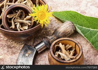 Roots of the healing plant elecampane inula. Elecampane or inula