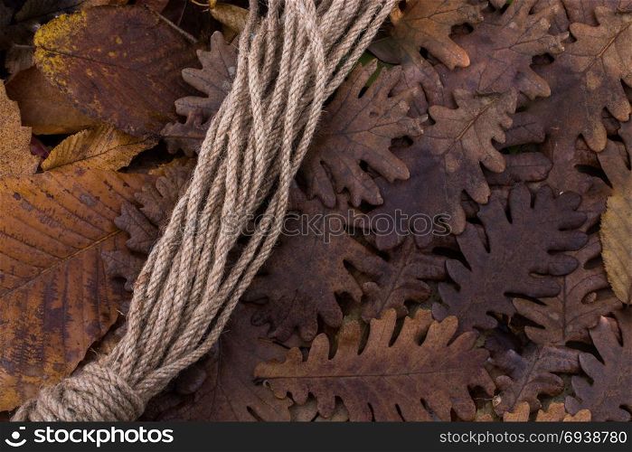 Rope and a dry leaf as an autumn background