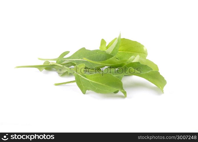 Roquette on white background