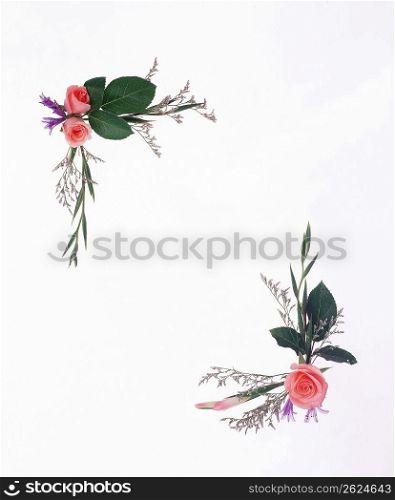 Rose and leaves border