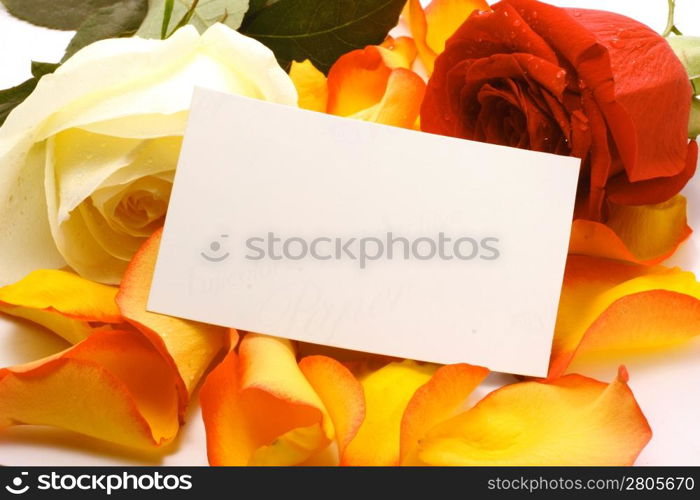 Rose and message on a petals. Background