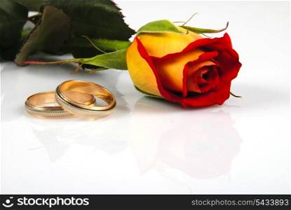 Rose and rings isolated on white background. Wedding postcard