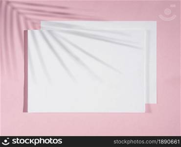 rose background with white blankets ficus shadow . Resolution and high quality beautiful photo. rose background with white blankets ficus shadow . High quality and resolution beautiful photo concept