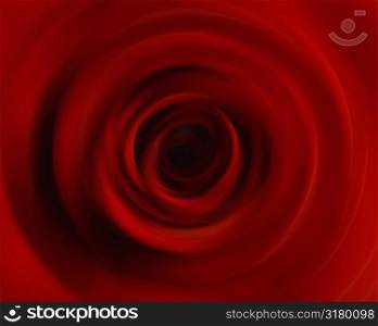 Rose blur