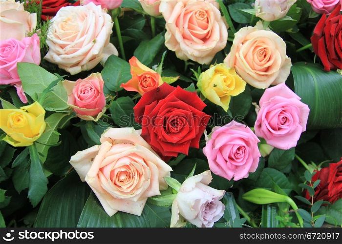 Rose bouquet in many different bright colors