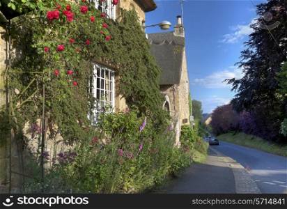 Rose covered thatched cottage, Ebrington, Gloucestershire, England.