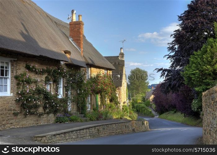 Rose covered thatched cottage, Ebrington, Gloucestershire, England