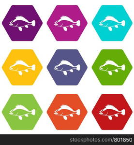 Rose fish, Sebastes norvegicus icon set many color hexahedron isolated on white vector illustration. Rose fish, Sebastes norvegicus icon set color hexahedron