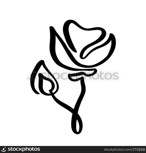 Rose flower concept logo organic. Continuous line hand drawing calligraphic . Scandinavian spring floral design element in minimal style. black and white.. Rose flower concept logo organic. Continuous line hand drawing calligraphic . Scandinavian spring floral design element in minimal style. black and white