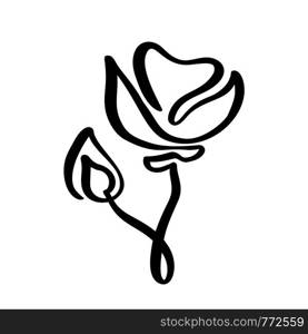 Rose flower concept logo organic. Continuous line hand drawing calligraphic . Scandinavian spring floral design element in minimal style. black and white.. Rose flower concept logo organic. Continuous line hand drawing calligraphic . Scandinavian spring floral design element in minimal style. black and white