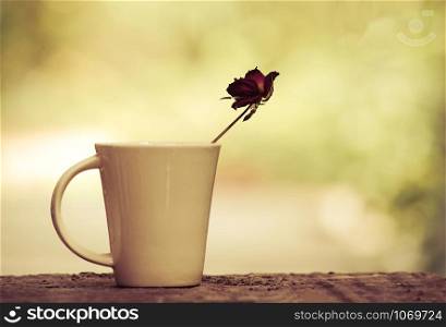 rose flower in coffee cup vintage color nature background