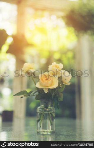 rose flower in vase pot, concept for love and Valentine&rsquo; Day