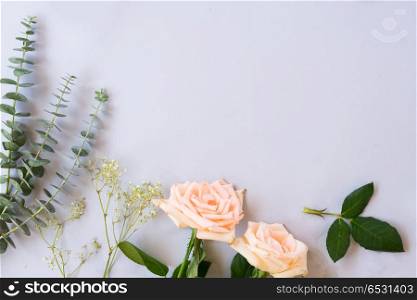 Rose flowers and green fresh leaves on blue table from above with copy space. fresh rose flowers. fresh rose flowers