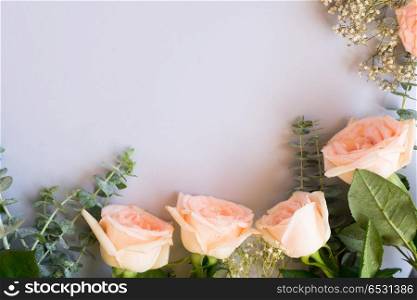 Rose flowers and green leaves on blue table from above with copy space. fresh rose flowers. fresh rose flowers