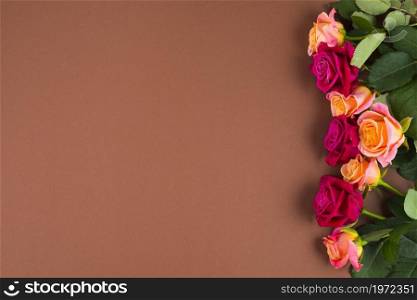 rose flowers framing one side. High resolution photo. rose flowers framing one side. High quality photo