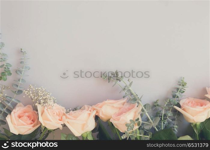 Rose flowers row on blue table from above with copy space, retro toned. fresh rose flowers. fresh rose flowers