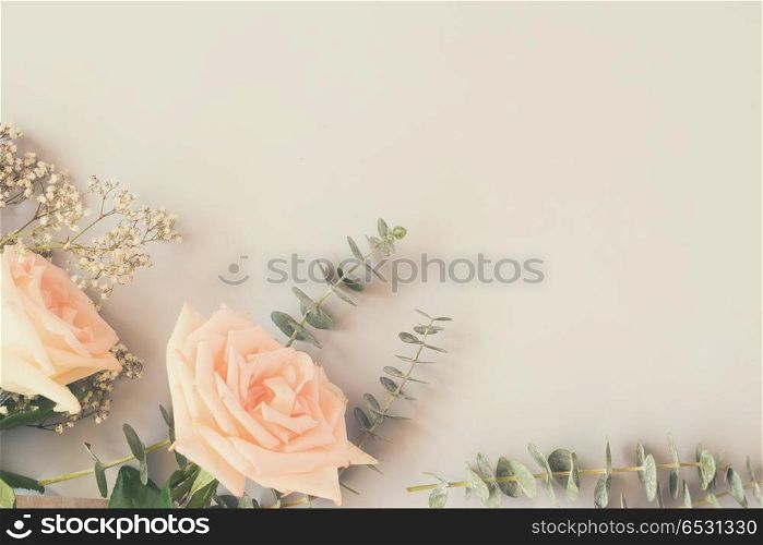 Rose flowers with green leaves on blue table from above with copy space, retro toned. fresh rose flowers. fresh rose flowers