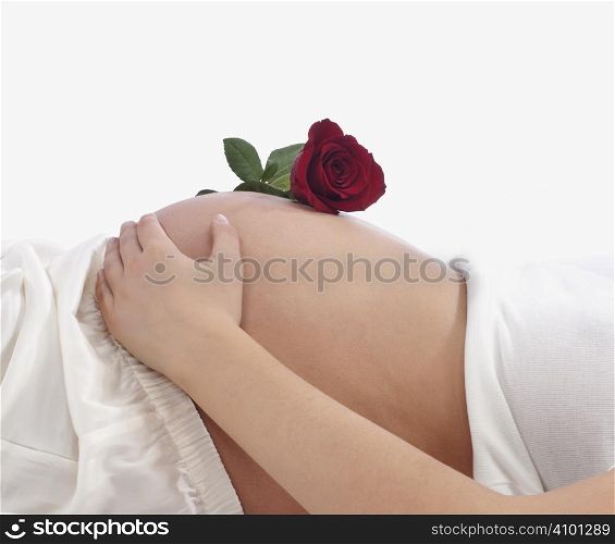 rose for unborn baby on a white background