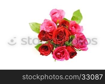 rose for valentine day isolated on white background
