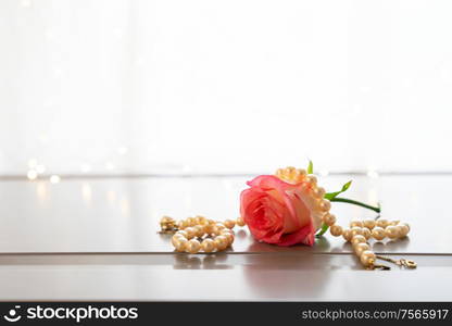 Rose fresh flower and jewellery on gray table by the window. fresh rose flowers on gray