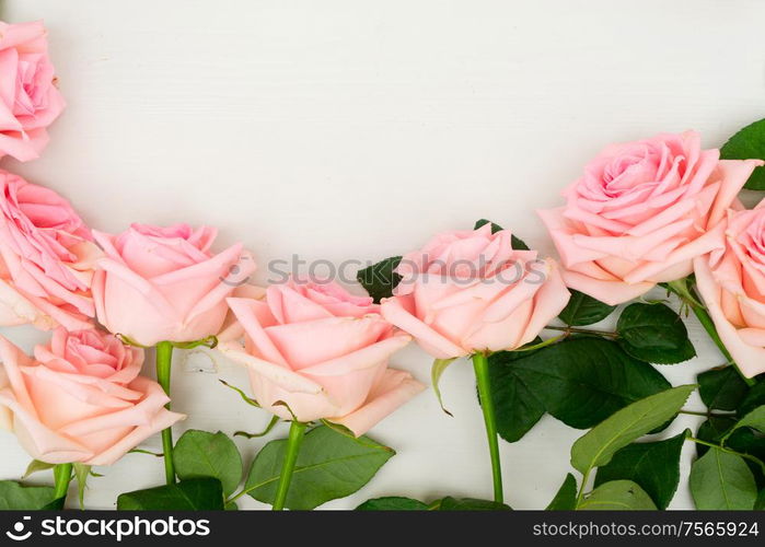 Rose fresh flowers on table from above and copy space, flat lay scene. fresh rose flowers