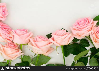 Rose fresh flowers on table from above and copy space, flat lay scene. fresh rose flowers