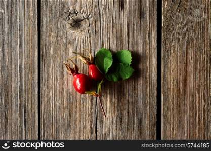 Rose hip over old wooden background with copy space