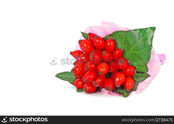 Rose hips isolated on white