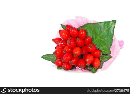 Rose hips isolated on white