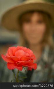 Rose Of A Female Gardener