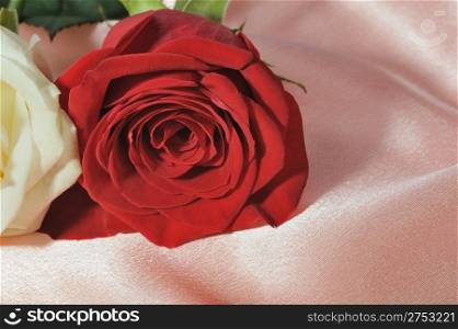 Rose on satin. A flower laying on effective material