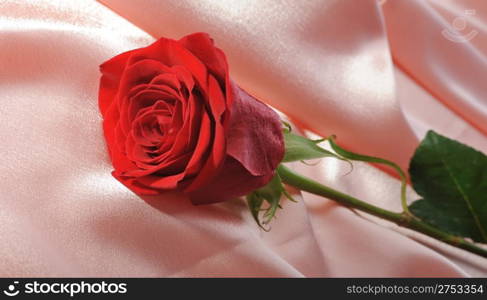 Rose on satin. A flower laying on effective material