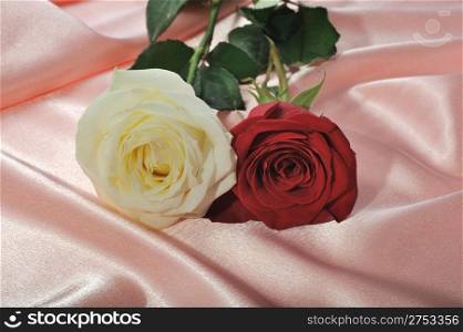 Rose on satin. A flower laying on effective material