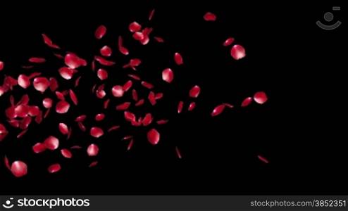 Rose Petals Flying Particles, Luma Matte