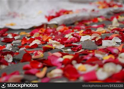rose petals on ground near wedding dress