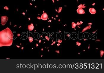 Rose petals with Alpha Channel