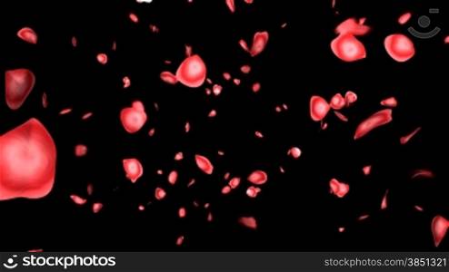 Rose petals with Alpha Channel