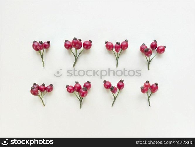 Rosehips branches on beige background. Symmetry flat lay.. Rosehips branches on a beige background. Symmetry flat lay.