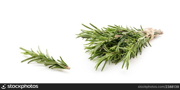 Rosemary bound on a white background