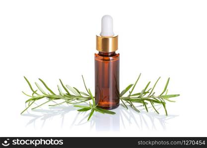 Rosemary essential oil isolated on white background. Rosemary oil for skin care, spa, wellness, massage, aromatherapy and natural medicine