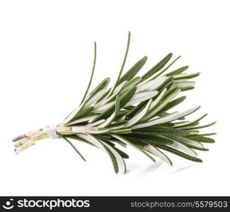 rosemary herb spice leaves isolated on white background cutout